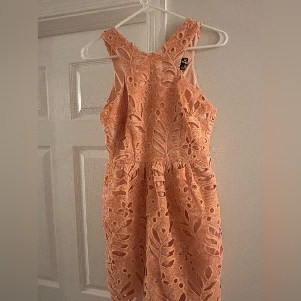 Nordstrom Pink Lace Floral Dress
